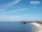 Bald Point Pier.jpg