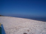 Sandbars at low tide.JPG