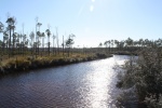 Chaires-Creek.jpg